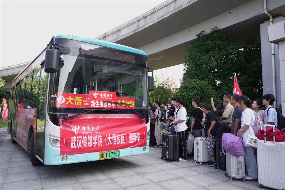 小白屋vip